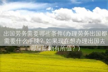出国劳务需要哪些条件(办理劳务出国都需要什么手续？如果现在想办理出国去哪里能物有所值？)