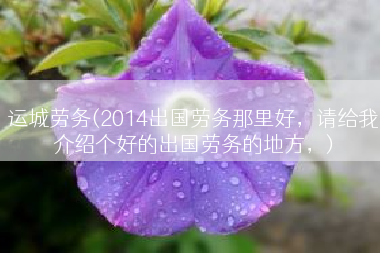 运城劳务(2014出国劳务那里好，请给我介绍个好的出国劳务的地方，)