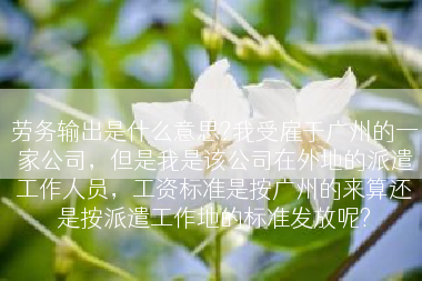 劳务输出是什么意思?我受雇于广州的一家公司，但是我是该公司在外地的派遣工作人员，工资标准是按广州的来算还是按派遣工作地的标准发放呢?