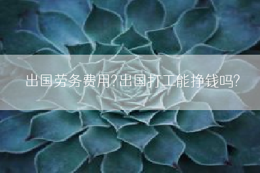 出国劳务费用?出国打工能挣钱吗?