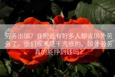 劳务出国？我附近有好多人都去国外劳务了，他们原来是干汽修的，国外劳务真的能挣到钱吗？