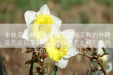 中铁劳务网（中铁建工国际工程的外聘是怎么回事啊？出国待遇怎么样？说的是一年后考核合格转正。）