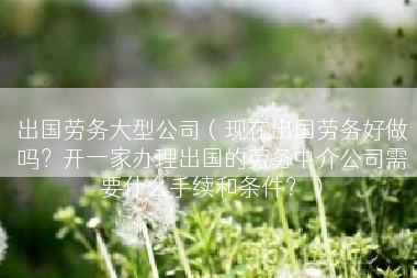 出国劳务大型公司（现在出国劳务好做吗？开一家办理出国的劳务中介公司需要什么手续和条件？）
