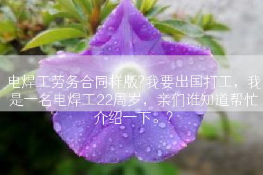 电焊工劳务合同样版?我要出国打工，我是一名电焊工22周岁，亲们谁知道帮忙介绍一下。?