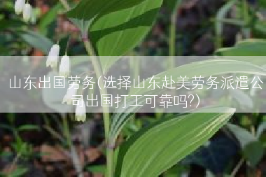 山东出国劳务(选择山东赴美劳务派遣公司出国打工可靠吗?)