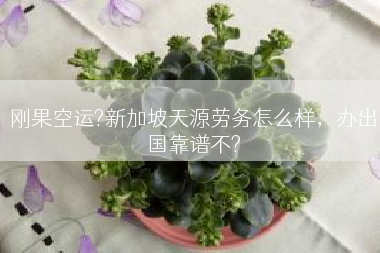 刚果空运?新加坡天源劳务怎么样，办出国靠谱不?