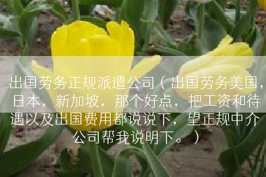 出国劳务正规派遣公司（出国劳务美国，日本，新加坡，那个好点，把工资和待遇以及出国费用都说说下，望正规中介公司帮我说明下。）