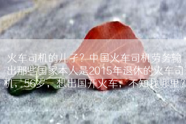 火车司机的儿孑？中国火车司机劳务输出那些国家本人是2015年退休的火车司机，56岁，想出国开火车，不知找哪里？