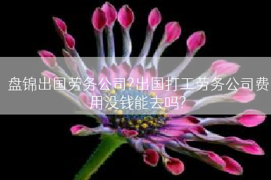盘锦出国劳务公司?出国打工劳务公司费用没钱能去吗?