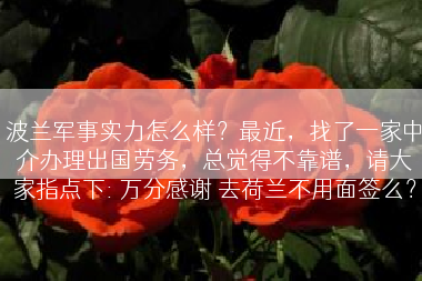 波兰军事实力怎么样？最近，找了一家中介办理出国劳务，总觉得不靠谱，请大家指点下: 万分感谢 去荷兰不用面签么？