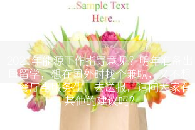 2021年能源工作指导意见？明年准备出国留学，想在国外时找个兼职，又不想去餐厅当服务生，去送报，请问大家有其他的建议吗？