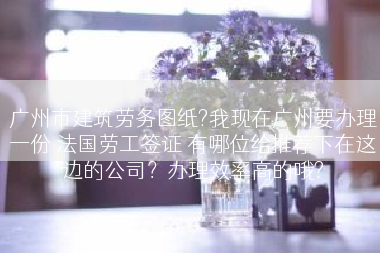 广州市建筑劳务图纸?我现在广州要办理一份 法国劳工签证 有哪位给推荐下在这边的公司？办理效率高的哦?