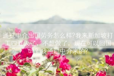 通过中介出国劳务怎么样?我来新加坡打工四五天了，不想做了，现在可以回国吗？我通过中介来的?