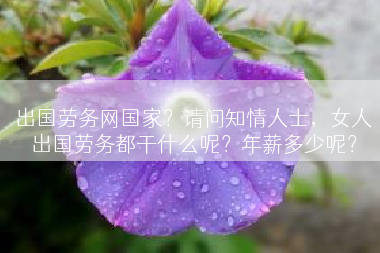 出国劳务网国家？请问知情人士，女人出国劳务都干什么呢？年薪多少呢？