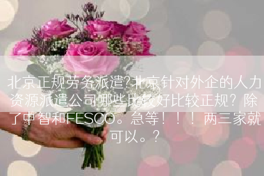 北京正规劳务派遣?北京针对外企的人力资源派遣公司哪些比较好比较正规？除了中智和FESCO。急等！！！两三家就可以。?