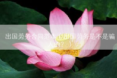 出国劳务合同范本（出国劳务是不是骗人的？）