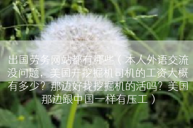出国劳务网站都有哪些（本人外语交流没问题，美国开挖掘机司机的工资大概有多少？那边好找挖掘机的活吗？美国那边跟中国一样有压工）