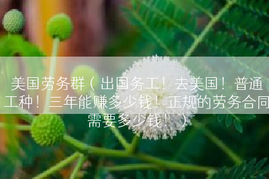 美国劳务群（出国务工！去美国！普通工种！三年能赚多少钱！正规的劳务合同需要多少钱！）