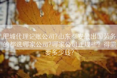 肥城代理记账公司?山东泰安最出国劳务的都选哪家公司?哪家公司正规些？得需要多少钱?