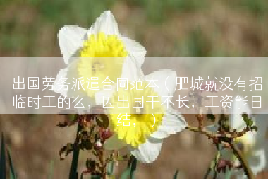 出国劳务派遣合同范本（肥城就没有招临时工的么，因出国干不长，工资能日结，）