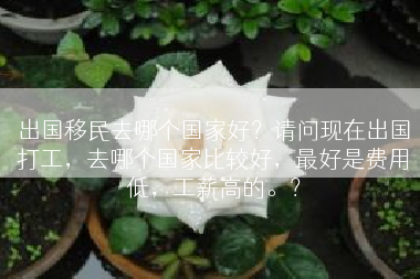 出国移民去哪个国家好？请问现在出国打工，去哪个国家比较好，最好是费用低，工薪高的。？