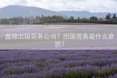 盘锦出国劳务公司？出国劳务是什么意思？