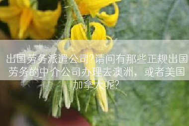 出国劳务派遣公司?请问有那些正规出国劳务的中介公司办理去澳洲，或者美国加拿大呢?