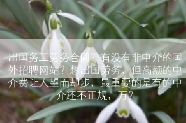 出国务工劳务合同？有没有非中介的国外招聘网站？想出国劳务，但高额的中介费让人望而却步，最重要的是有的中介还不正规，万？