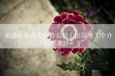 南通出国务工中介公司（出国务工中介工司哪家好？）