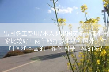 出国务工费用?本人想出国劳务，那个国家比较好！两年能挣多少钱？国外工作时间和本国的工作时间是一样的嘛?