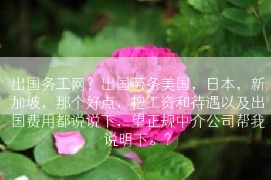 出国务工网？出国劳务美国，日本，新加坡，那个好点，把工资和待遇以及出国费用都说说下，望正规中介公司帮我说明下。？