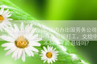 出国务工劳务公司?国内办出国劳务公司可靠吗？我通过中介办出国打工，交给中介了9000元，不想去了能退钱吗?
