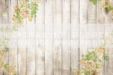 出国务工国家安全教育（现在出国劳务，除了日本、韩国、新加坡以外还有哪个国家比较好的吗？）