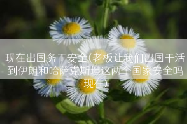 现在出国务工安全(老板让我们出国干活到伊朗和哈萨克斯坦这两个国家安全吗现在)
