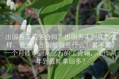 出国务工劳务合同？出国务工到底怎么样，普通人出国能做些什么？累不累？一个月能拿到两三万的工资嘛，工作两年到底能拿回多？
