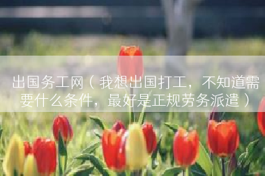 出国务工网（我想出国打工，不知道需要什么条件，最好是正规劳务派遣）