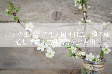 出国务工群？我想去国外打工，但不知道怎样去，总共需要多少费用？