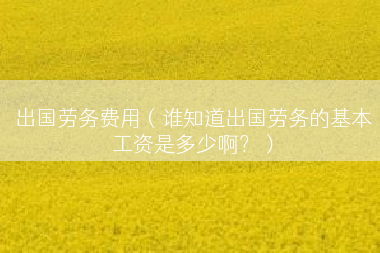 出国劳务费用（谁知道出国劳务的基本工资是多少啊？）