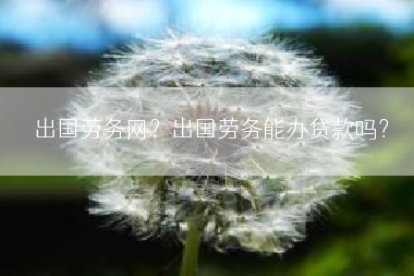出国劳务网？出国劳务能办贷款吗？