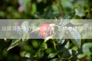 出国劳务中介机构排名？怎样申请留学中介加	</div>
				<div class=
