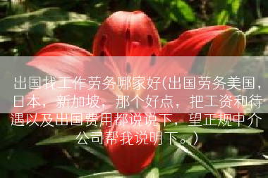 出国找工作劳务哪家好(出国劳务美国，日本，新加坡，那个好点，把工资和待遇以及出国费用都说说下，望正规中介公司帮我说明下。)