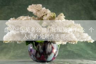 盘锦出国劳务公司（出国劳务手续：个人中介分别负责哪些）
