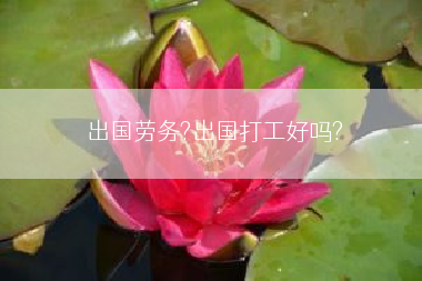出国劳务?出国打工好吗?