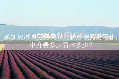 新加坡出国劳务网？去新加坡劳务工作,中介费多少薪水多少？
