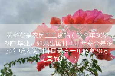 劳务费是农民工工资吗（我今年30岁，初中毕业，如果出国打工，年薪会是多少？听人说到韩国最高一年能拿30万，是真的吗。）