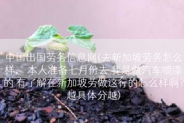 中国出国劳务信息网(去新加坡劳务怎么样， 本人准备七月份去 我是做汽车喷漆的 有了解在新加坡劳做这行的怎么样啊？越具体分越)