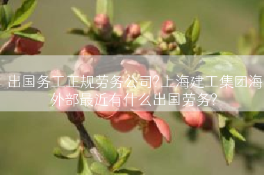 出国务工正规劳务公司?上海建工集团海外部最近有什么出国劳务?