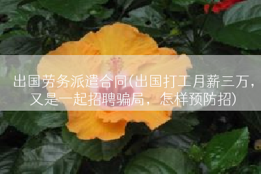 出国劳务派遣合同(出国打工月薪三万，又是一起招聘骗局，怎样预防招)