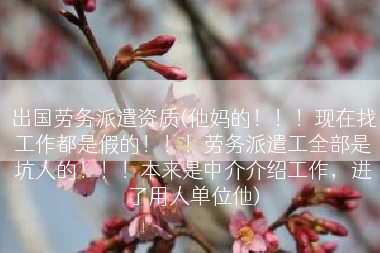 出国劳务派遣资质(他妈的！！！现在找工作都是假的！！！劳务派遣工全部是坑人的！！！本来是中介介绍工作，进了用人单位他)