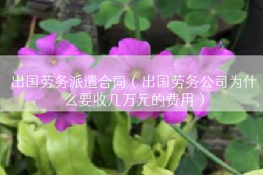 出国劳务派遣合同（出国劳务公司为什么要收几万元的费用）